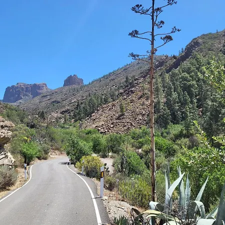 Pinares El Juncal De Holiday home Tejeda (Gran Canaria)