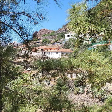 Pinares El Juncal De Tejeda (Gran Canaria)