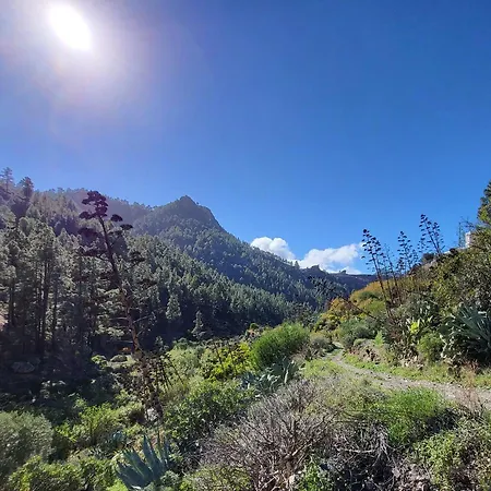 Pinares El Juncal De *