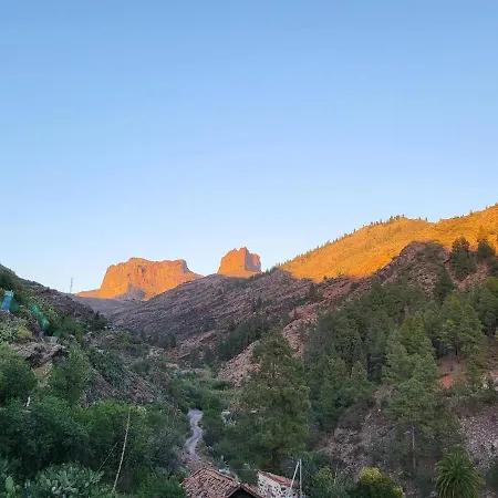Pinares El Juncal De Tejeda (Gran Canaria)