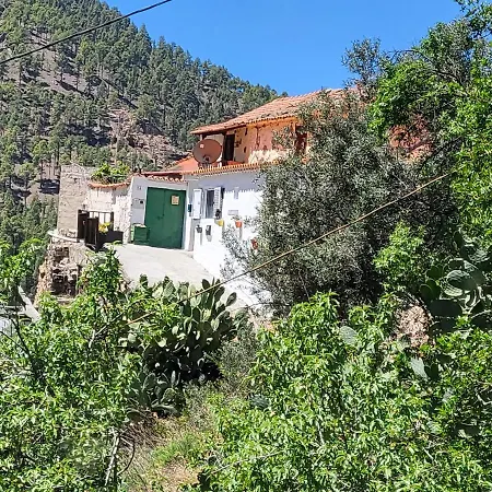 Pinares El Juncal De Tejeda (Gran Canaria)