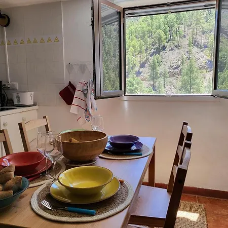 Pinares El Juncal De * Tejeda (Gran Canaria)