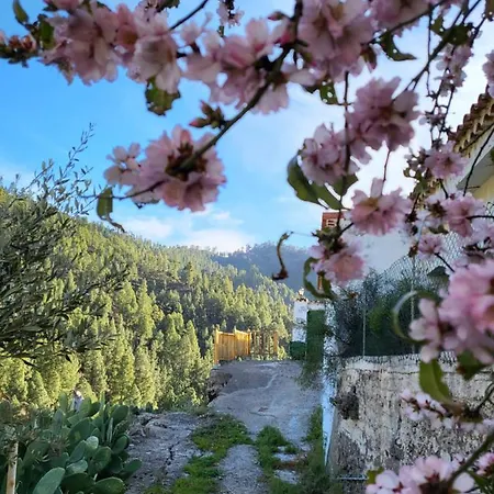 Vakantiehuis Pinares El Juncal De