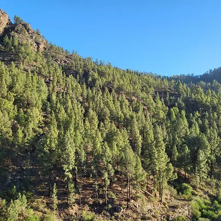 Pinares El Juncal De Holiday home *