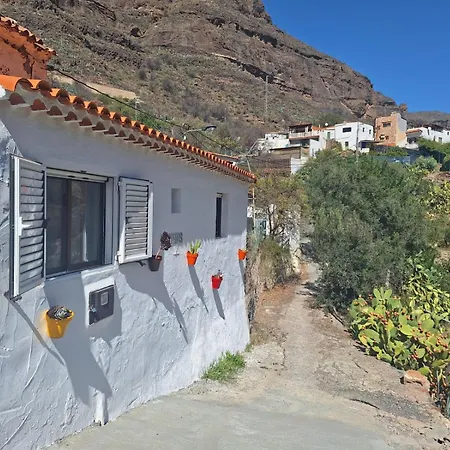 Pinares El Juncal De * Tejeda (Gran Canaria)