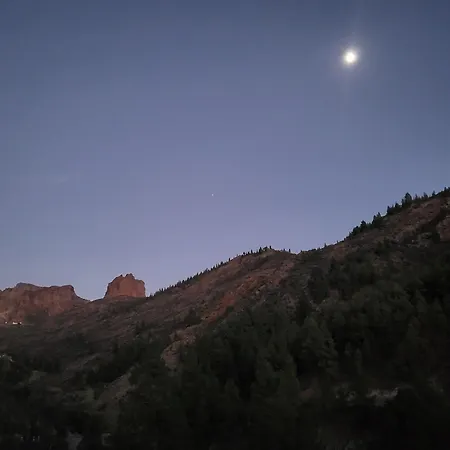Pinares El Juncal De * Tejeda (Gran Canaria)