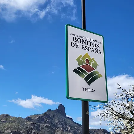 Pinares El Juncal De Tejeda (Gran Canaria)