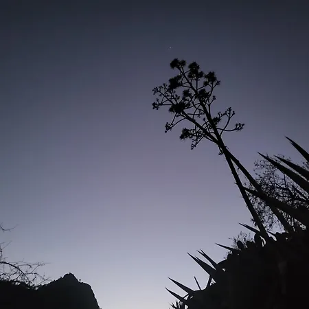 Pinares El Juncal De Semesterbostad